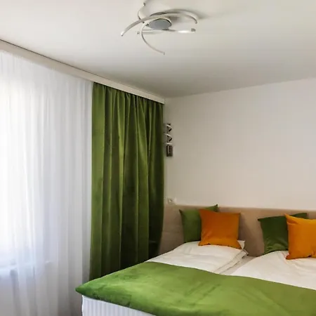 Casa Andreea מלון 3*