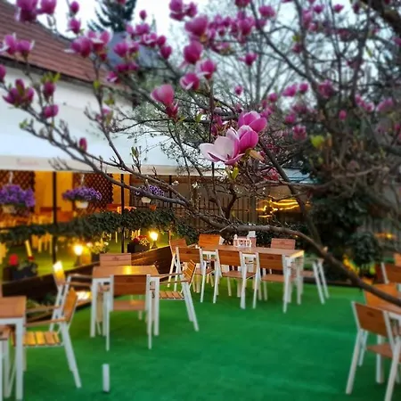 Hotel Casa Andreea