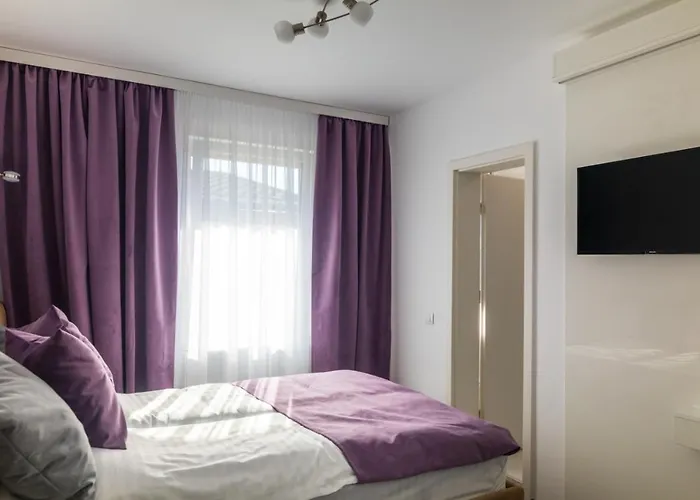 Hotel Casa Andreea 3*